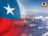 PresentaciÃ³n DirecVirtu.pdf