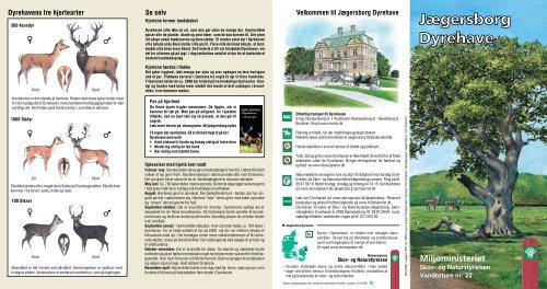 Jægersborg Dyrehave