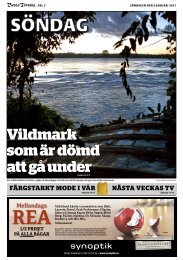 BT Söndag med nästa veckas TV (pdf) - Borås Tidning