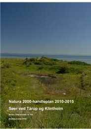 Natura 2000-handleplan 2010-2015 Søer ved ... - Nyborg Kommune