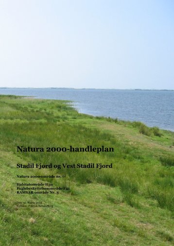 Natura 2000-handleplan - Ringkøbing-Skjern Kommune