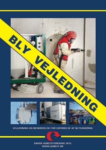 BLY VEJLEDNING - Dansk Asbestforening