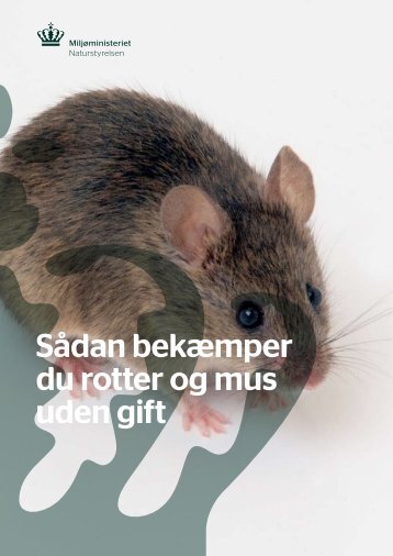Sådan bekæmper du rotter og mus uden gift - Skanderborg Kommune