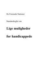 FN's standardregler om lige muligheder for handicappede