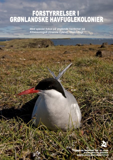 Pdf-fil 5,6 MB. - Grønlands Naturinstitut