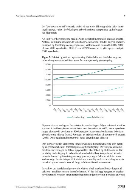 COWIs rapport (pdf)