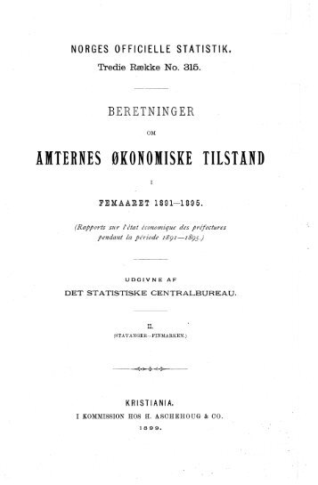 beretninger om amternes økonomiske tilstand i femaaret 1891-1895 ...