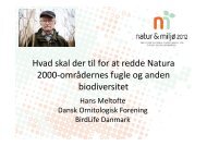 Hvad skal der til for at redde Natura 2000-områdernes fugle og ...