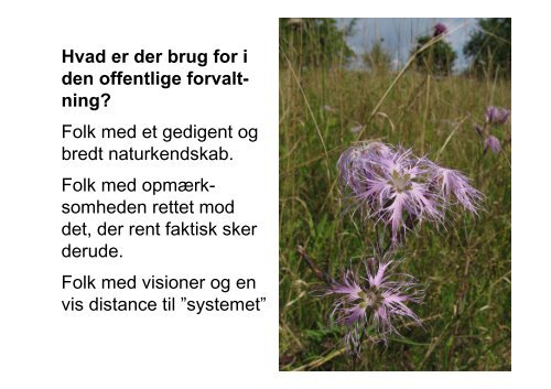 Hvad skal der til for at redde Natura 2000-områdernes fugle og ...