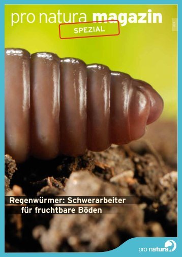 Regenwürmer: Schwerarbeiter für fruchtbare Böden - Pro Natura