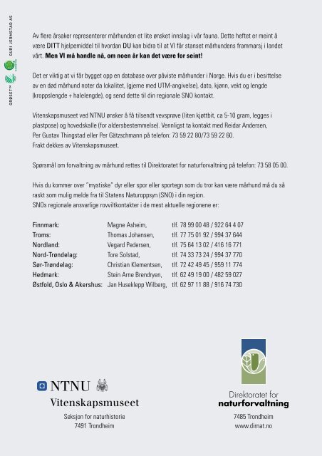 Mårhund - Informasjon fra NTNU og Direktoratet for naturforvaltning