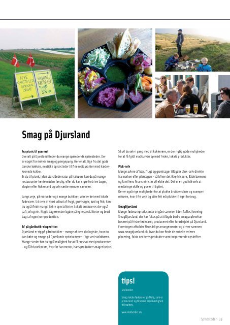 Djursland Turist Guide - UniFlip.com