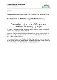 Genopslag vedrørende stillingen som direktør for Anlæg og Miljø