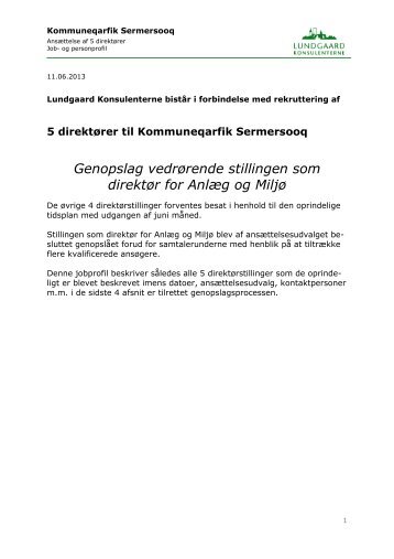 Genopslag vedrørende stillingen som direktør for Anlæg og Miljø