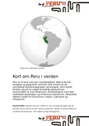 Kort om Peru i verden