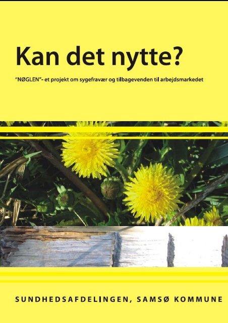 Evalueringsrapport Nøglen (pdf 3 MB) - Aarhus.dk