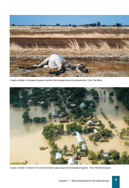 Klimaændringer og tropeøer - Danmarks Naturfredningsforening