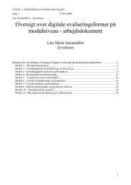 arbejdsdokument modulevaluering