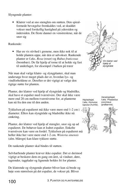 Jord og Plante Kompendium.pdf