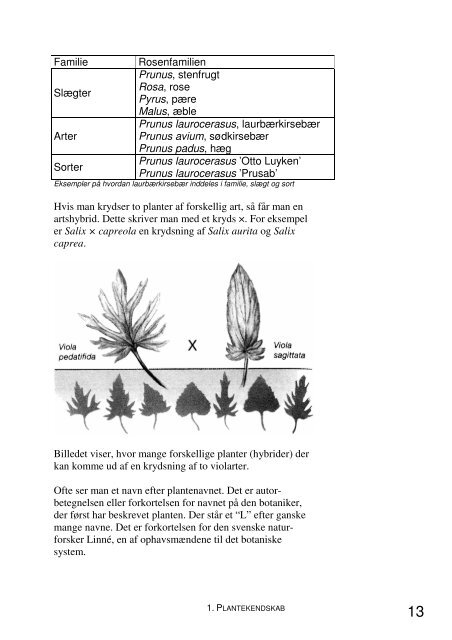 Jord og Plante Kompendium.pdf