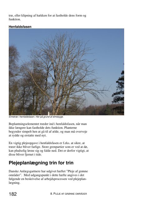 Jord og Plante Kompendium.pdf