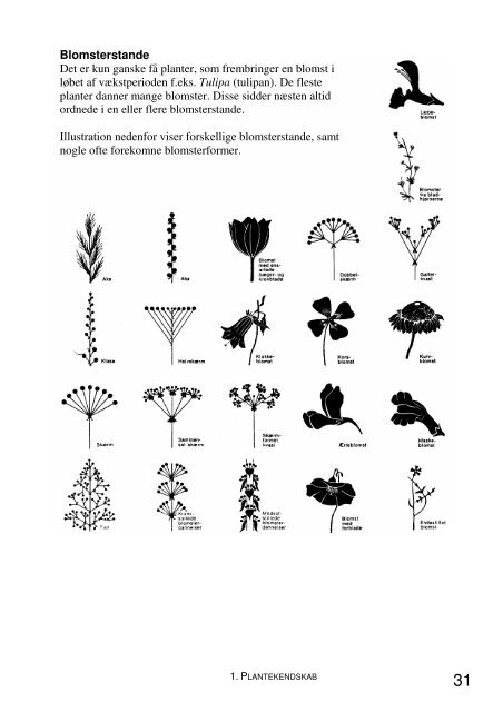 Jord og Plante Kompendium.pdf