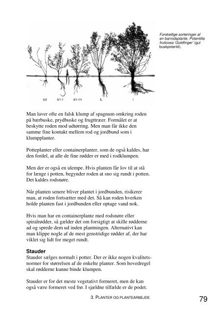 Jord og Plante Kompendium.pdf