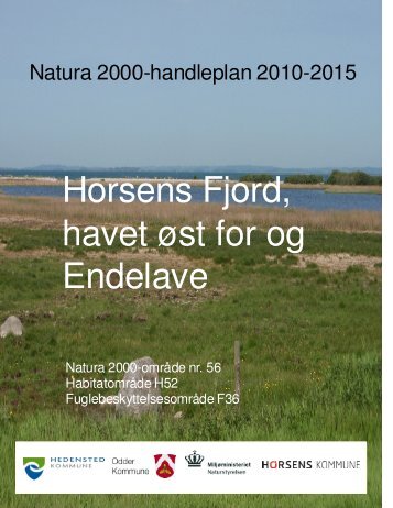 Forslag til Natura2000 handleplan for Horsens ... - Odder kommune