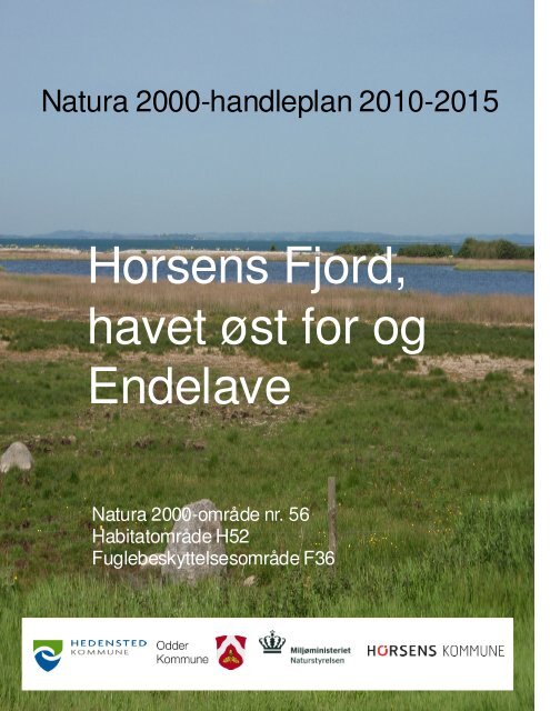 Forslag til Natura2000 handleplan for Horsens ... - Odder kommune