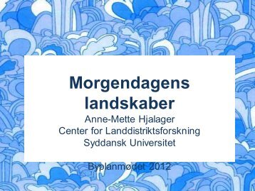 Professor, centerleder Anne Mette Hjalager, Center for ...