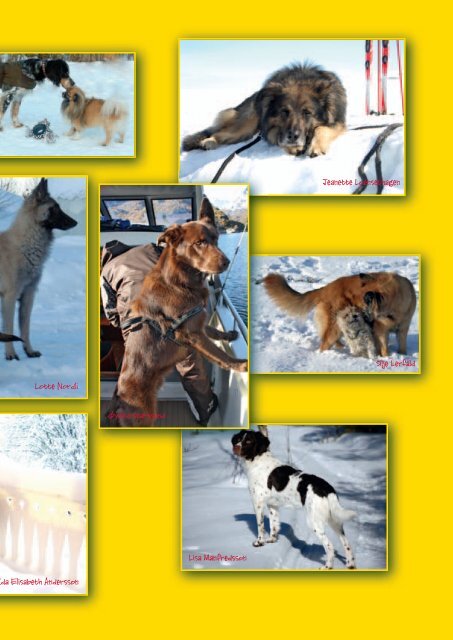 Canis – vi forandrer hundeverden!