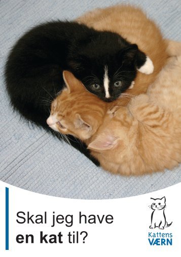 Skal jeg have en kat til? - Kattens Værn