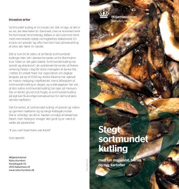 Stegt sortmundet kutling - Naturstyrelsen