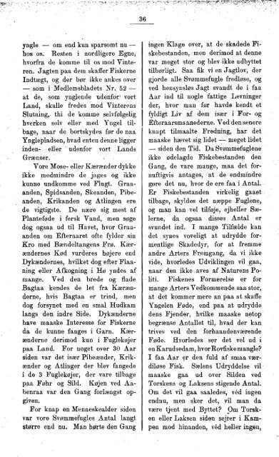 1893 Dansk Fiskeriforenings Medlemsblad - Runkebjerg.dk