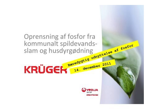 Oprensning af fosfor fra kommunalt spildevands- slam og ...