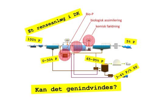 Oprensning af fosfor fra kommunalt spildevands- slam og ...