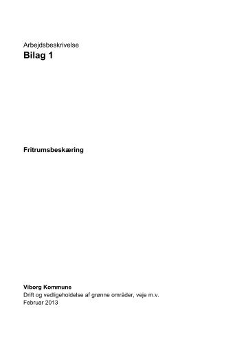 Bilag til Arbejdsbeskrivelse - Viborg Kommune