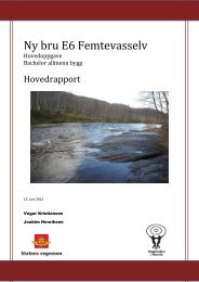 Ny bru E6 Femtevasselv - Høgskolen i Narvik