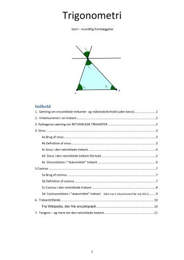 Trigonometri_teori_mundtlig fremlaeggelse-2012-03-07.pdf