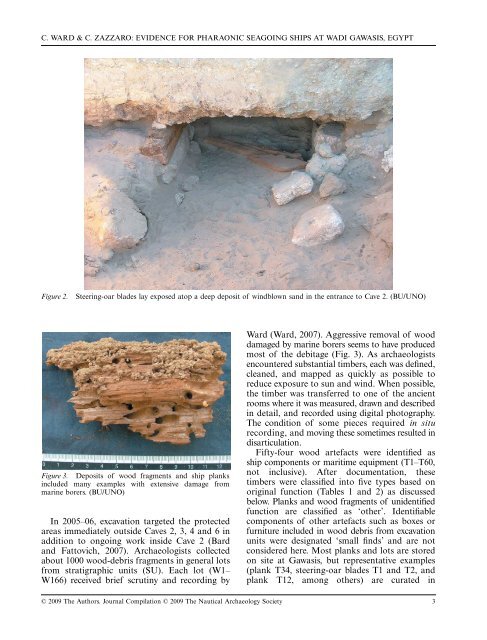 Evidence for Pharaonic Seagoing Ships at Mersa/Wadi Gawasis ...