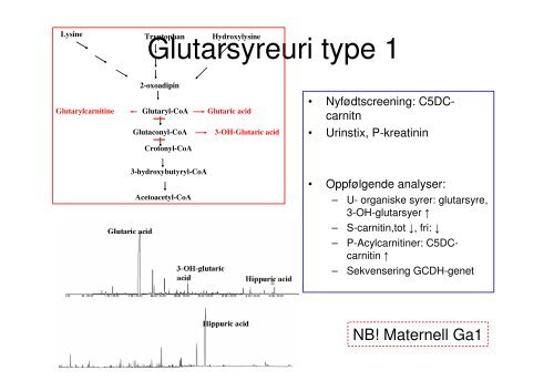 Videre diagnostisk utredning.pdf - Oslo universitetssykehus