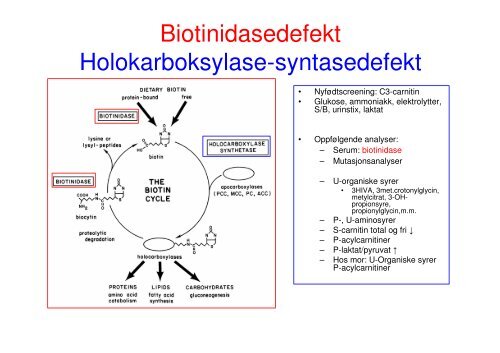 Videre diagnostisk utredning.pdf - Oslo universitetssykehus