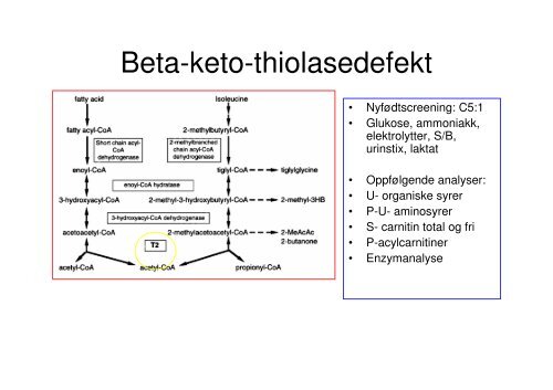 Videre diagnostisk utredning.pdf - Oslo universitetssykehus