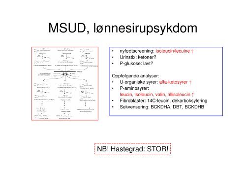 Videre diagnostisk utredning.pdf - Oslo universitetssykehus