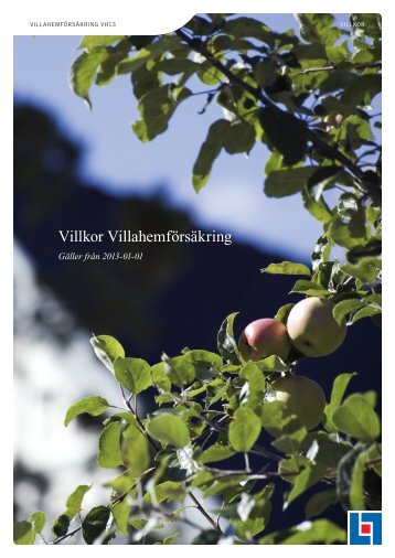 Villkor Villahemförsäkring - Insplanet