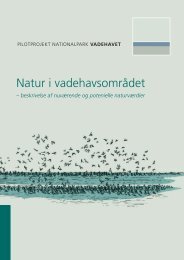 Natur i vadehavsområdet - Vadehavssekretariatet