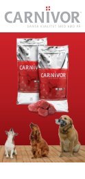Brochure Carnivor voksen hundefoder - Hornsyld Købmandsgaard A/S