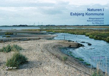 Bilagsrapport til Naturkvalitetsplanen (PDF) - Esbjerg Kommune