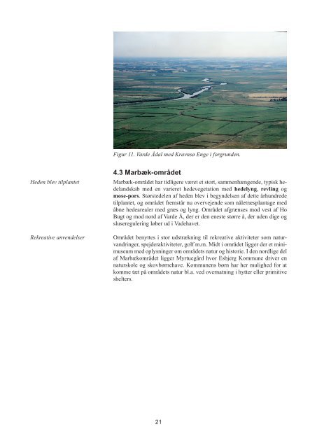 Bilagsrapport til Naturkvalitetsplanen (PDF) - Esbjerg Kommune