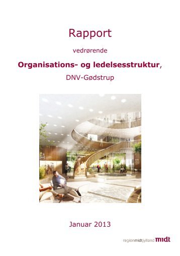 Rapport vedrørende Organisations- og ledelsesstruktur, DNV ...